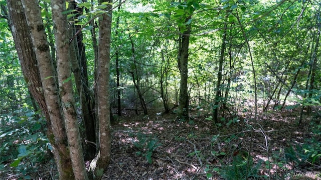 0 Giles St, Edwardsville, AL 36264