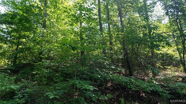 0 Giles St, Edwardsville, AL 36264