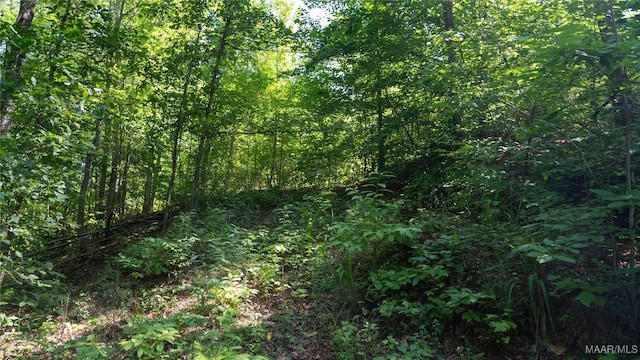 0 Giles St, Edwardsville, AL 36264