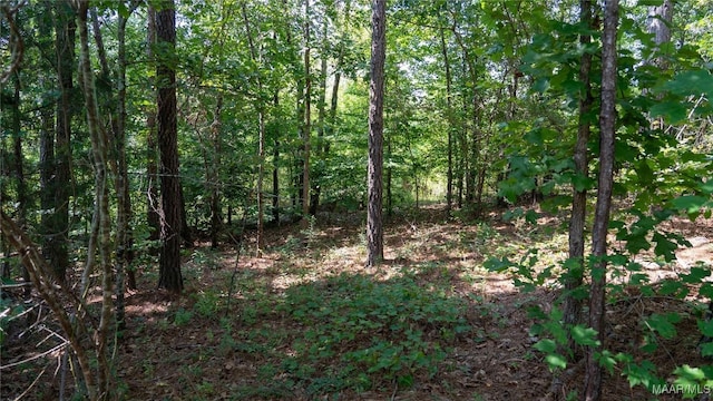 0 Giles St, Edwardsville, AL 36264