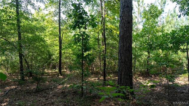 0 Giles St, Edwardsville, AL 36264