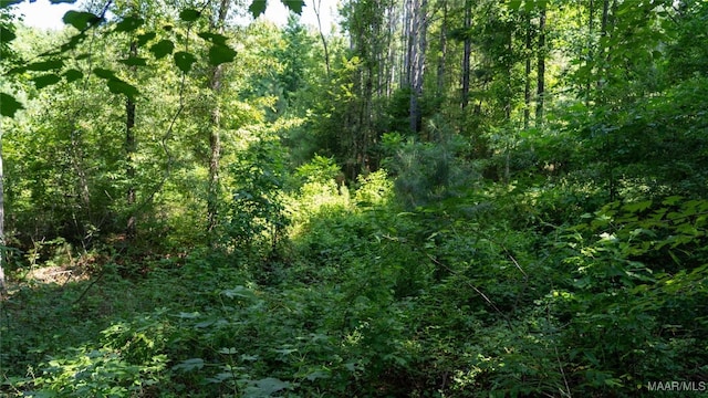 0 Giles St, Edwardsville, AL 36264