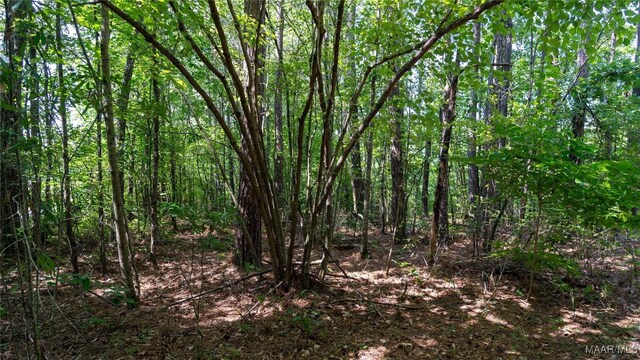 0 Giles St, Edwardsville, AL 36264