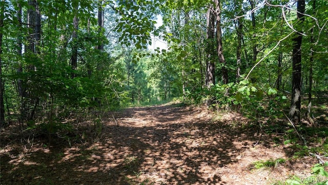 0 Giles St, Edwardsville, AL 36264