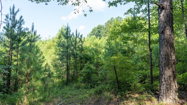 0 Giles St, Edwardsville, AL 36264