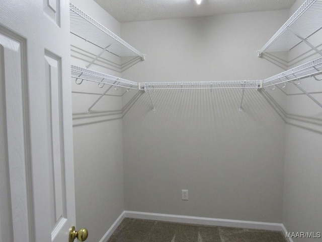 9467 Greythorne Way, Montgomery, AL 36117 - spacious closet featuring dark carpet