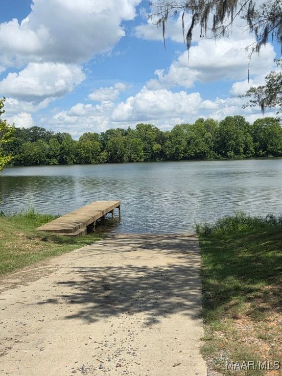 101 Robinson Pond Rd, Prattville, AL 36067 - photo 2
