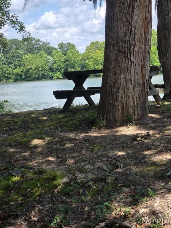 101 Robinson Pond Rd, Prattville, AL 36067 - photo 6
