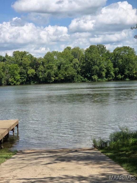 101 Robinson Pond Rd, Prattville, AL 36067 - photo 7