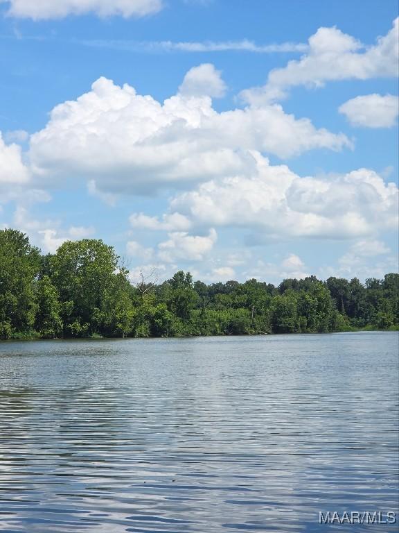 101 Robinson Pond Rd, Prattville, AL 36067 - photo 8