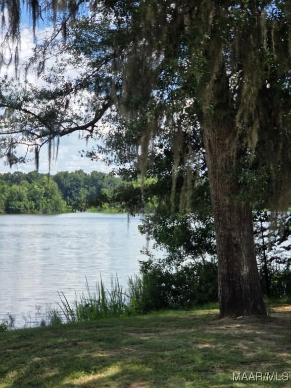 101 Robinson Pond Rd, Prattville, AL 36067 - photo 9