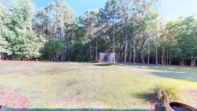 441 W Gamble St, Greenville, AL 36037 - photo 55