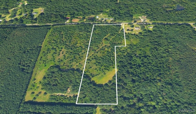 0 County Road 27, Tuskegee, AL 36083 - photo 4
