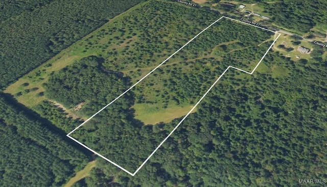 0 County Road 27, Tuskegee, AL 36083 - photo 5