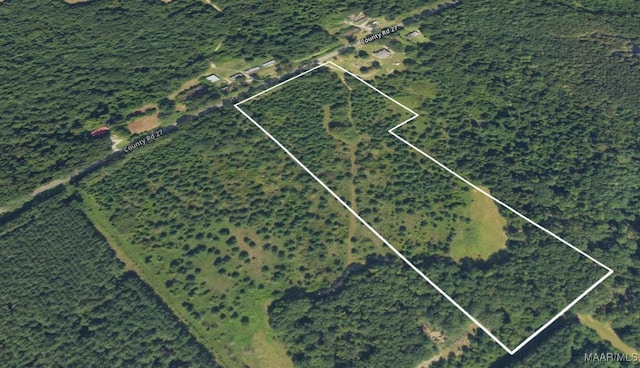 0 County Road 27, Tuskegee, AL 36083 - photo 6