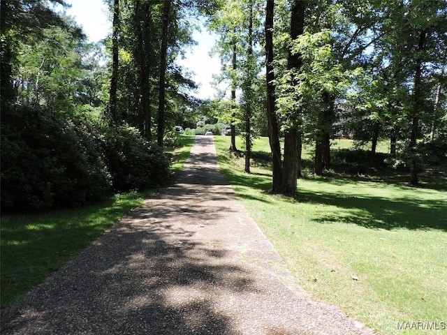 127 Pinedale St, Greenville, AL 36037 - photo 48