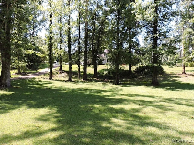 127 Pinedale St, Greenville, AL 36037 - photo 49
