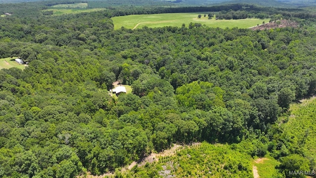825 County Road 165, Prattville, AL 36067 - photo 42