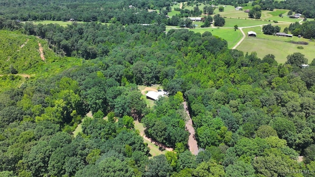 825 County Road 165, Prattville, AL 36067 - photo 44