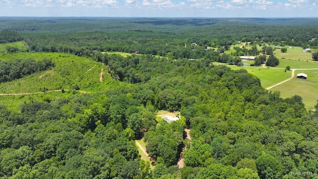825 County Road 165, Prattville, AL 36067 - photo 45