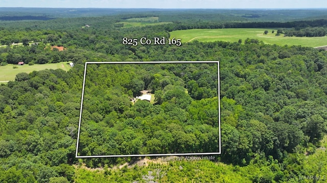 825 County Road 165, Prattville, AL 36067 - photo 4