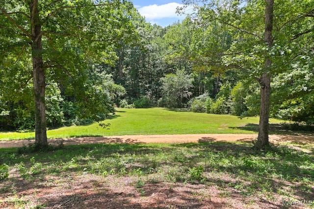 825 County Road 165, Prattville, AL 36067 - photo 5