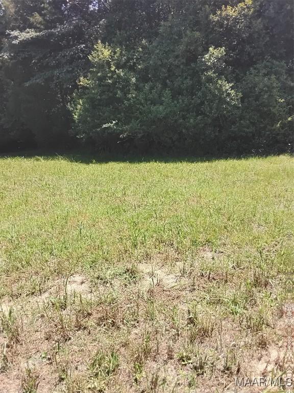 124 Crown Ridge Dr, Selma, AL 36701 - photo 2