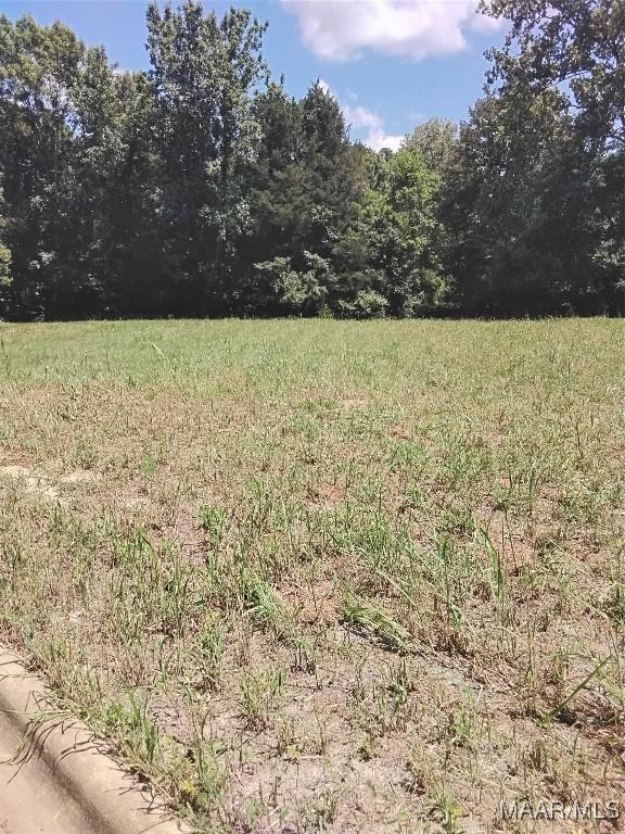 124 Crown Ridge Dr, Selma, AL 36701 - photo 3
