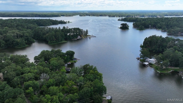 240 Jordan View Dr, Titus, AL 36080 - photo 52