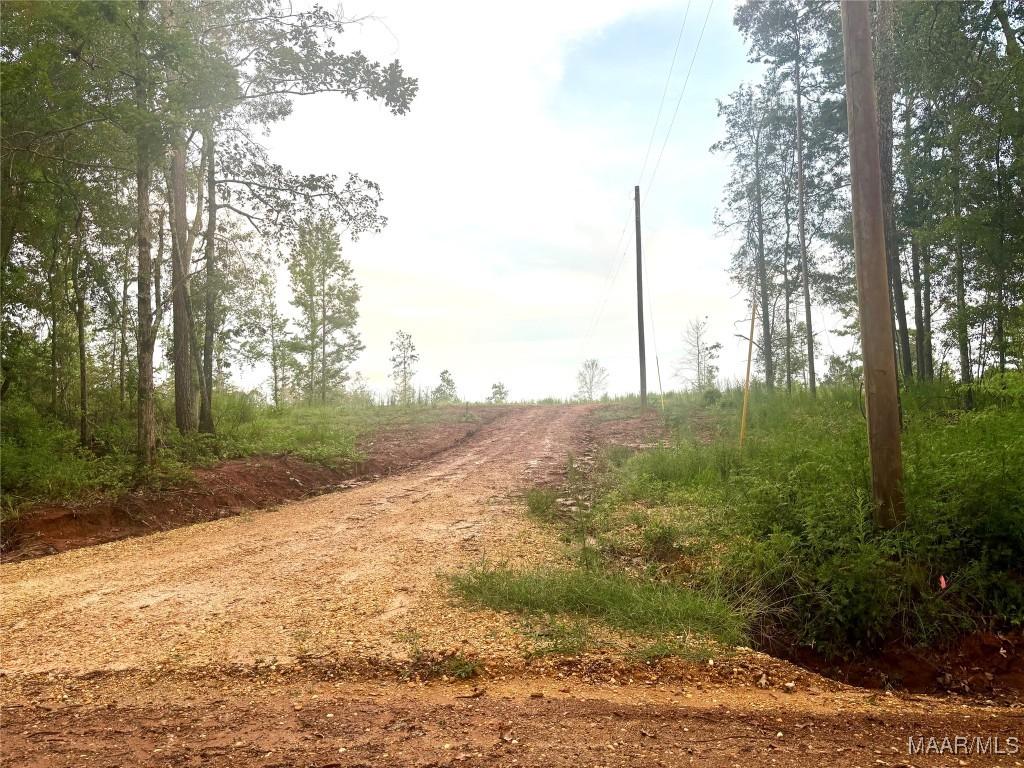 179 Tyson Ln, Greenville, AL 36037 - photo 1