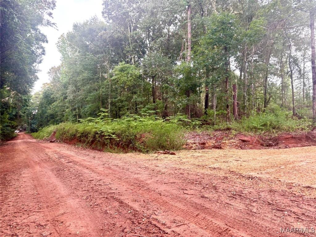 179 Tyson Ln, Greenville, AL 36037 - photo 2