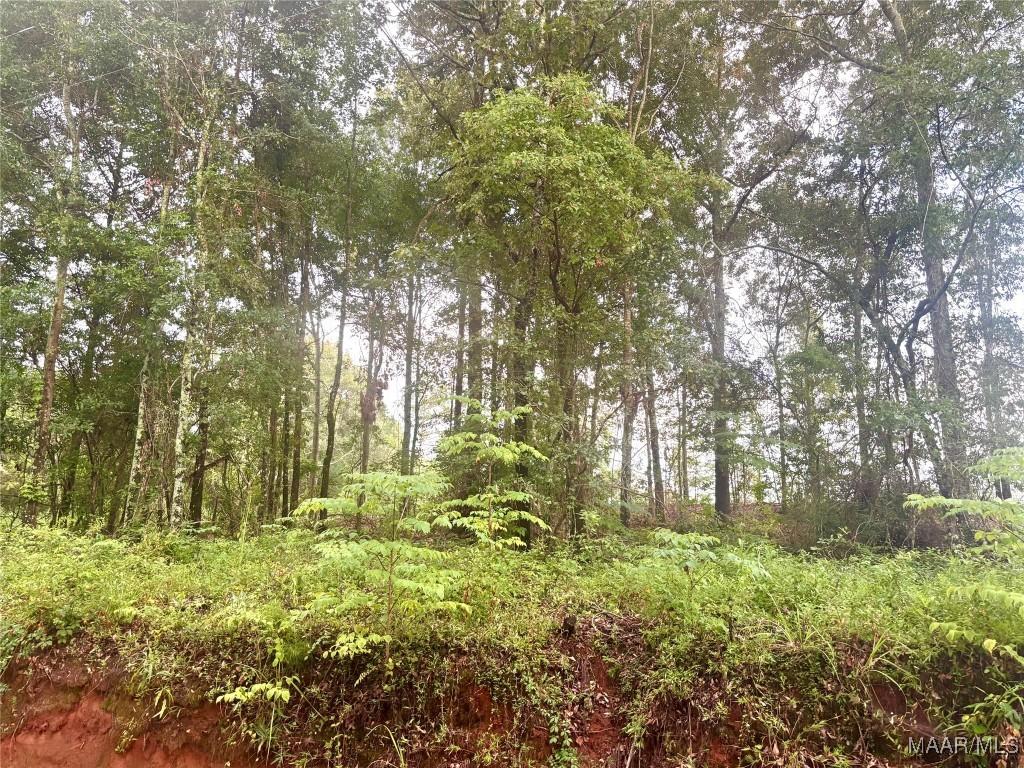 179 Tyson Ln, Greenville, AL 36037 - photo 3