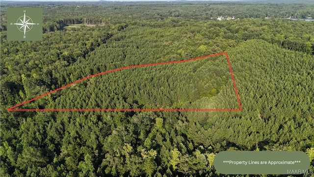 9 Williams Dr, Dadeville, AL 36861 - photo 3