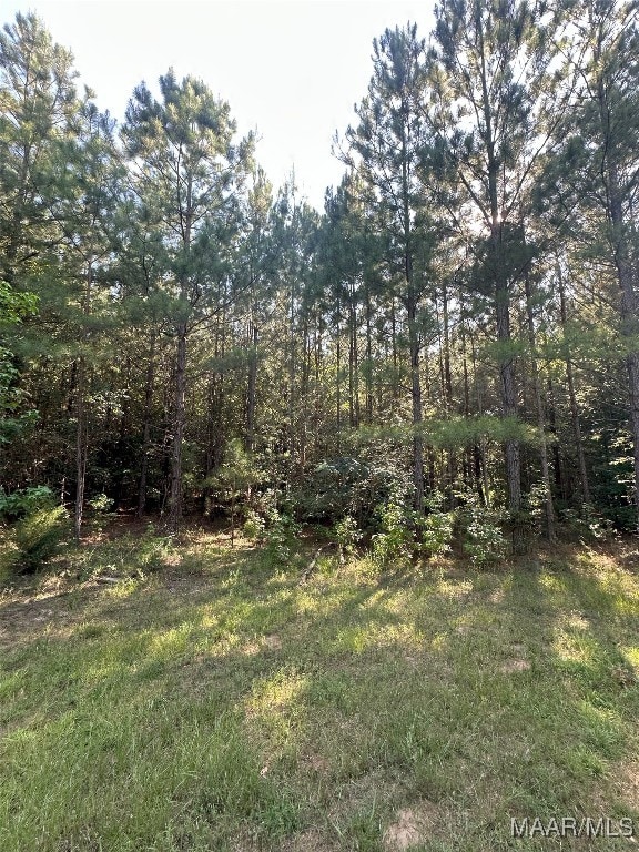 9 Williams Dr, Dadeville, AL 36861 - photo 7