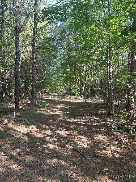 9 Williams Dr, Dadeville, AL 36861 - photo 8