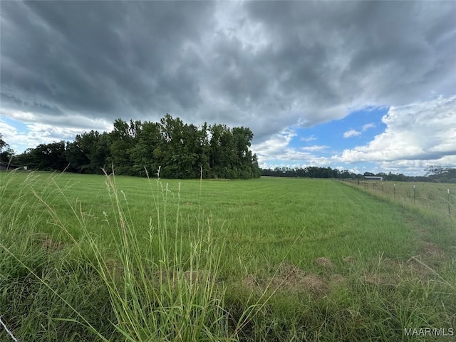 PARCEL2 Whitetail Rdg, Elmore, AL 36025 - photo 1