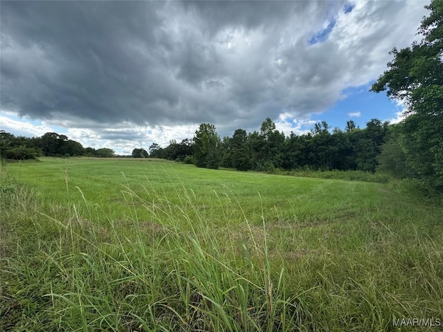 PARCEL2 Whitetail Rdg, Elmore, AL 36025 - photo 2