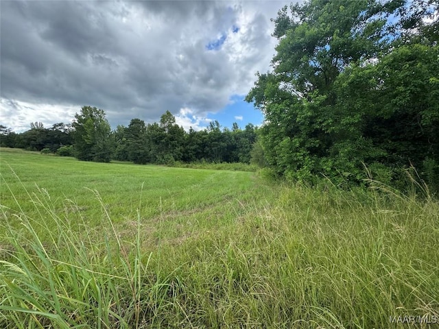 PARCEL2 Whitetail Rdg, Elmore, AL 36025 - photo 3