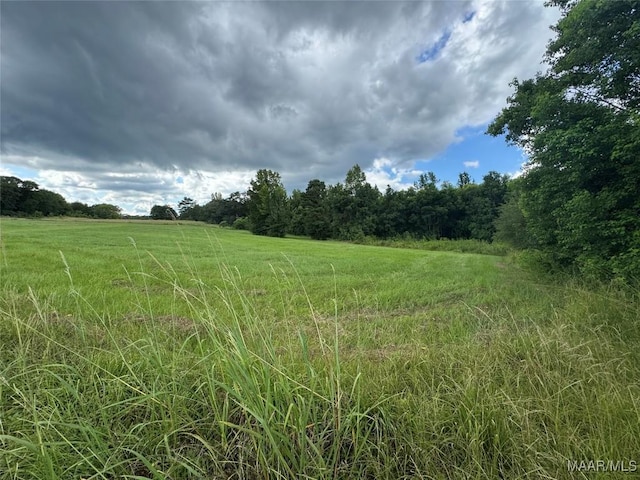 PARCEL2 Whitetail Rdg, Elmore, AL 36025 - photo 4