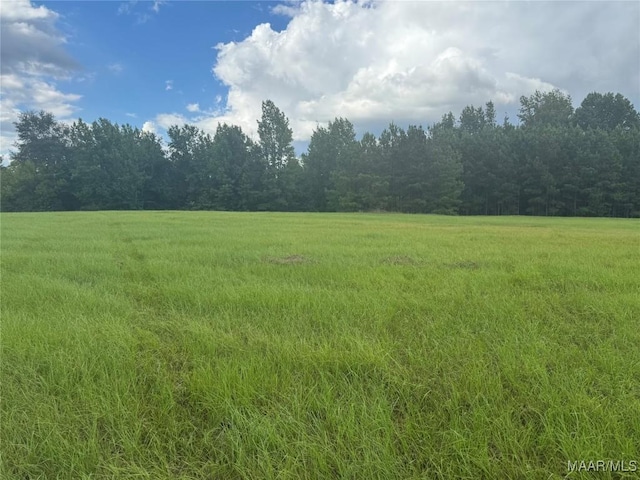 PARCEL2 Whitetail Rdg, Elmore, AL 36025 - photo 5