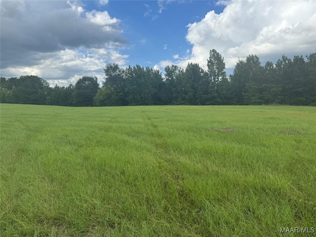 PARCEL2 Whitetail Rdg, Elmore, AL 36025 - photo 6