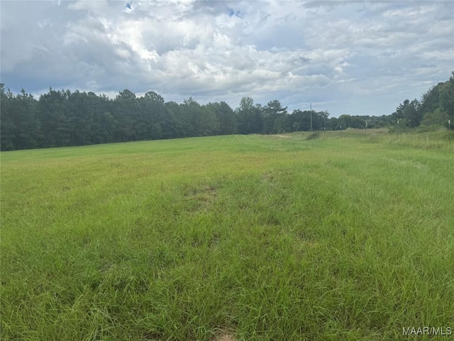 PARCEL2 Whitetail Rdg, Elmore, AL 36025 - photo 7