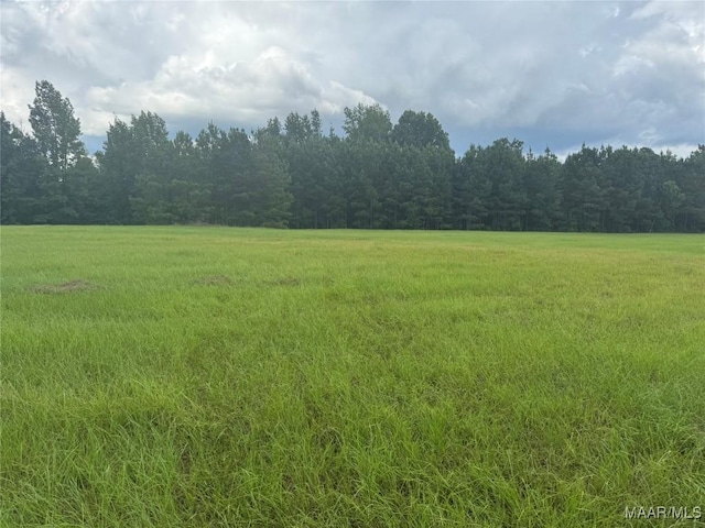 PARCEL2 Whitetail Rdg, Elmore, AL 36025 - photo 8