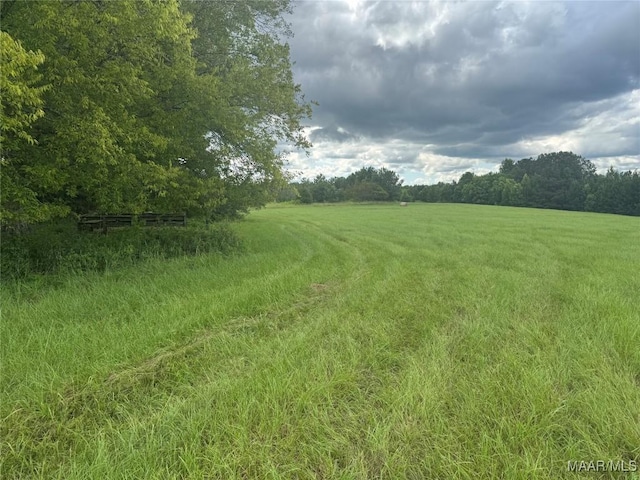PARCEL2 Whitetail Rdg, Elmore, AL 36025 - photo 9