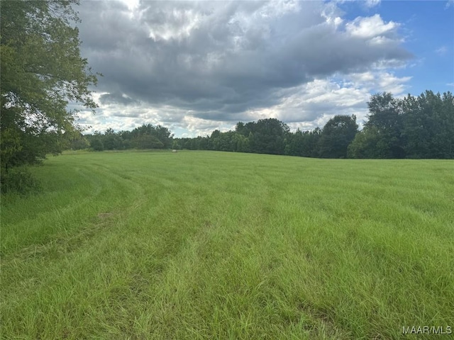 PARCEL2 Whitetail Rdg, Elmore, AL 36025 - photo 10
