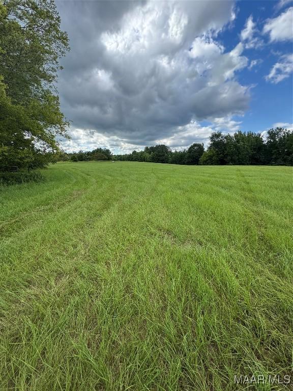 PARCEL2 Whitetail Rdg, Elmore, AL 36025 - photo 11