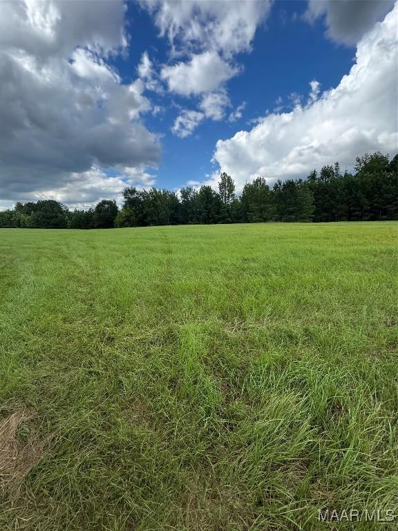 PARCEL2 Whitetail Rdg, Elmore, AL 36025 - photo 12