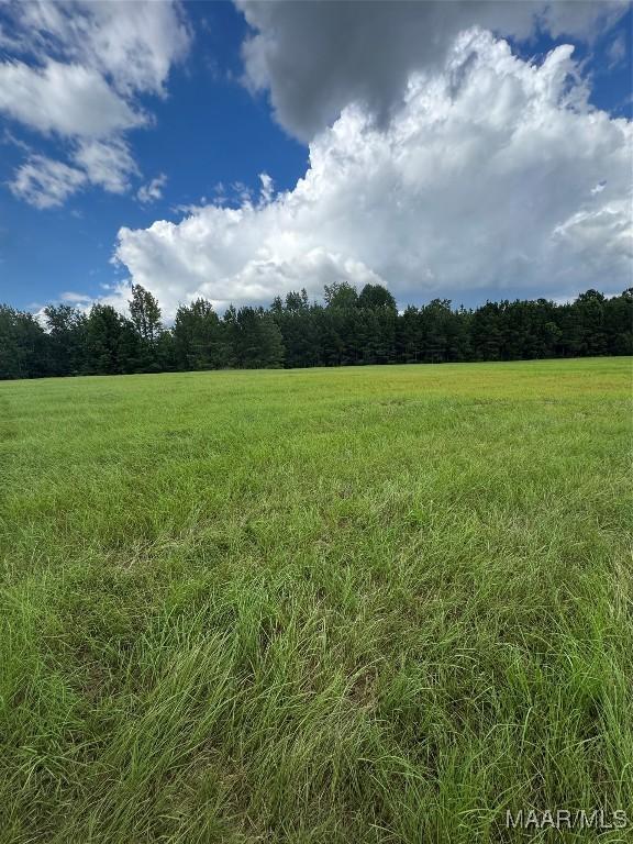PARCEL2 Whitetail Rdg, Elmore, AL 36025 - photo 13