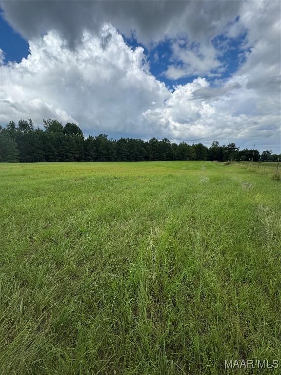 PARCEL2 Whitetail Rdg, Elmore, AL 36025 - photo 14