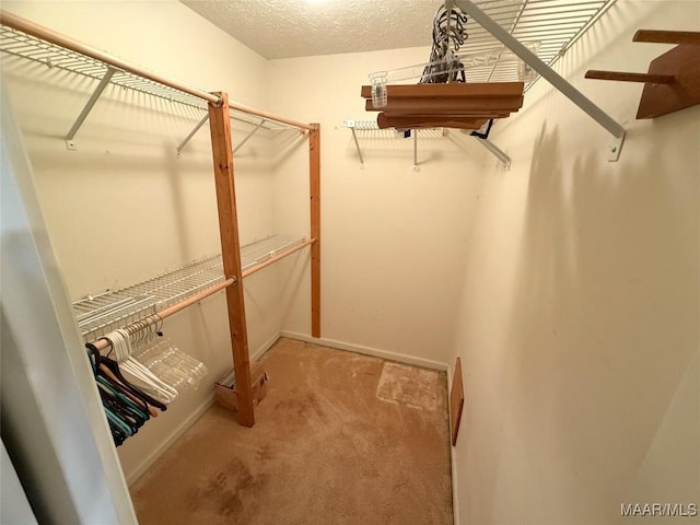 5883 Bridle Path Ln, Montgomery, AL 36116 - photo 12